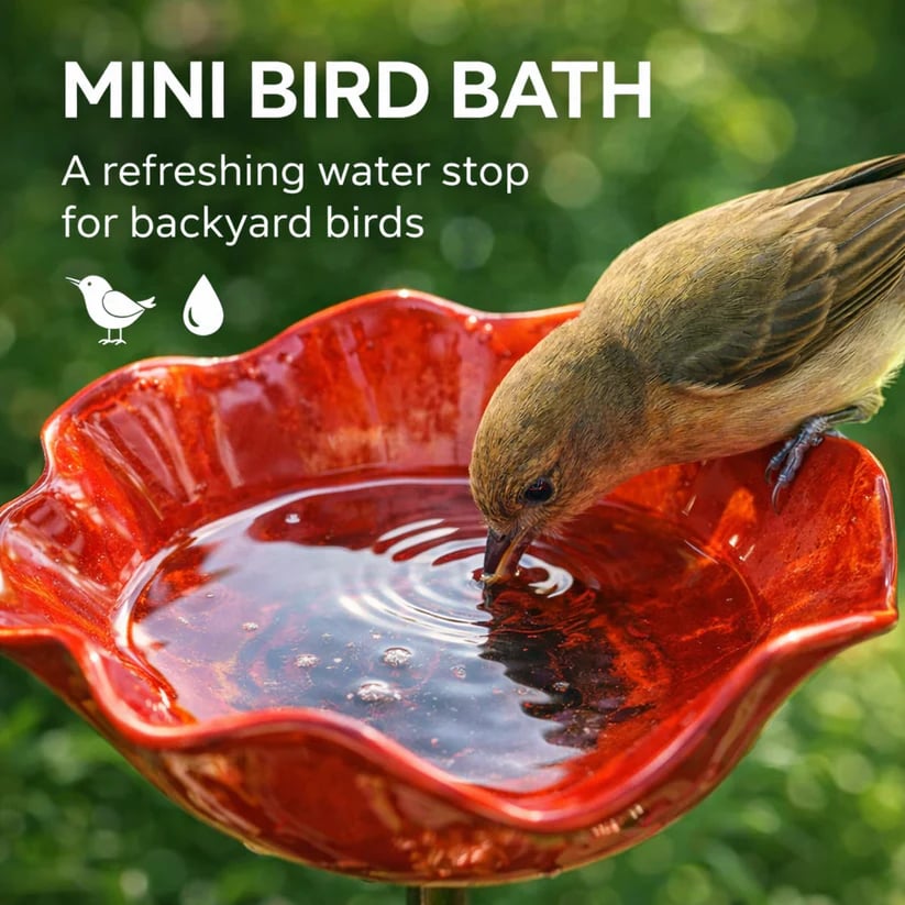 💝2026 Mother's Day Gifts 49% Off🎁🐦 Handmade Metal Flower Garden Stake – Bird Bath & Outdoor Decor for Nature Lovers 🌸