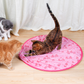 🔥Ventes chaudes - 49% de réduction😻Jouet de chasse interactif simulé 2 en 1 pour chat