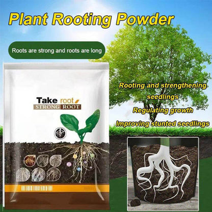 Engrais Microbien en Poudre avec Forte Capacité d'Enracinement