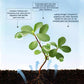 Engrais Microbien en Poudre avec Forte Capacité d'Enracinement