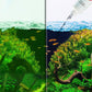 Algicide efficace pour aquarium