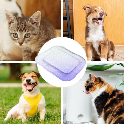 🔥 SALE ONLY￡13.99!!❄Pawchill™🇬🇧Pet Cooling Mat for Dogs & Cats 🐾  Naturally Cool Ice-Silk Pad • Breathable, Washable & Soft 🌿  For Floors, Sofas & Car Travel • Multiple Sizes • Gradient Colours ☀️🐶🐱